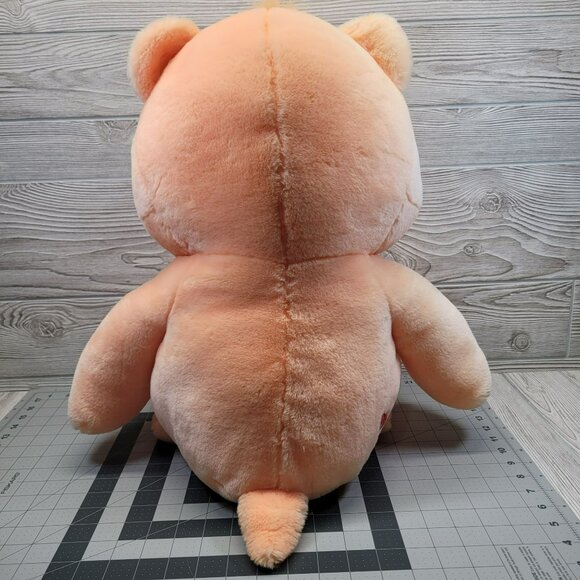 Care Bears Friendship Bear Plush Smiling Flowers Stuffed Animal Vtg 2002 26 in - Picture 2 of 10